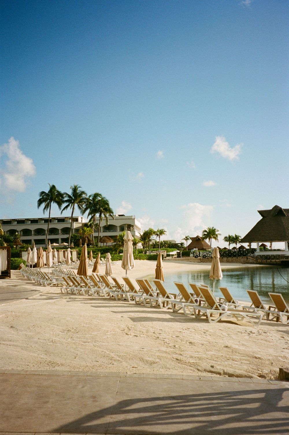Empty beach resort with lounge chairs and palm trees along shoreline.