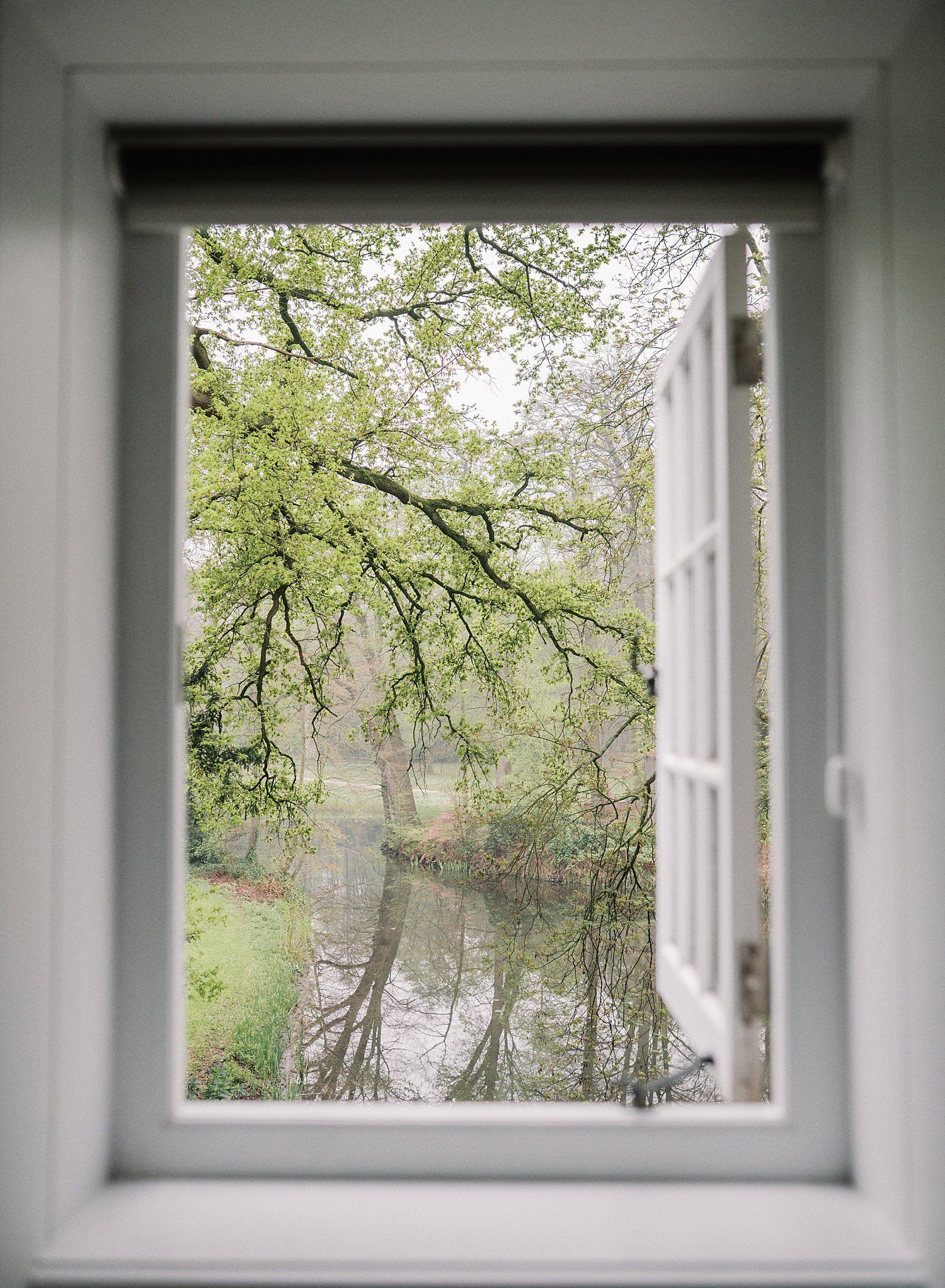 A series of four window frames showing views of trees and nature outside, creating a peaceful panoramic scene.