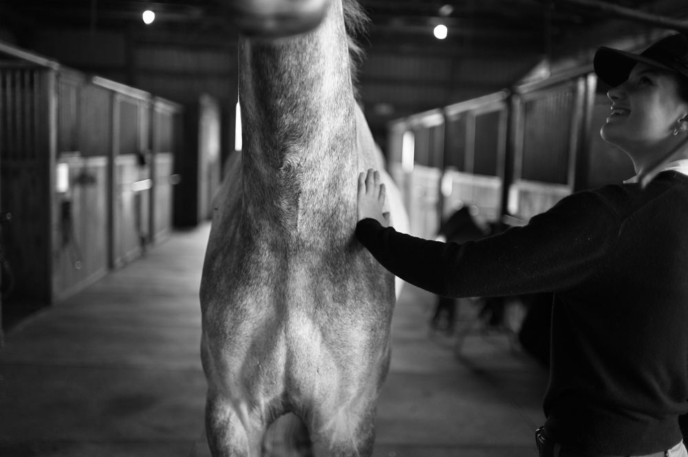 A series of black and white photographs showing a horse and rider practicing dressage movements in an indoor arena.