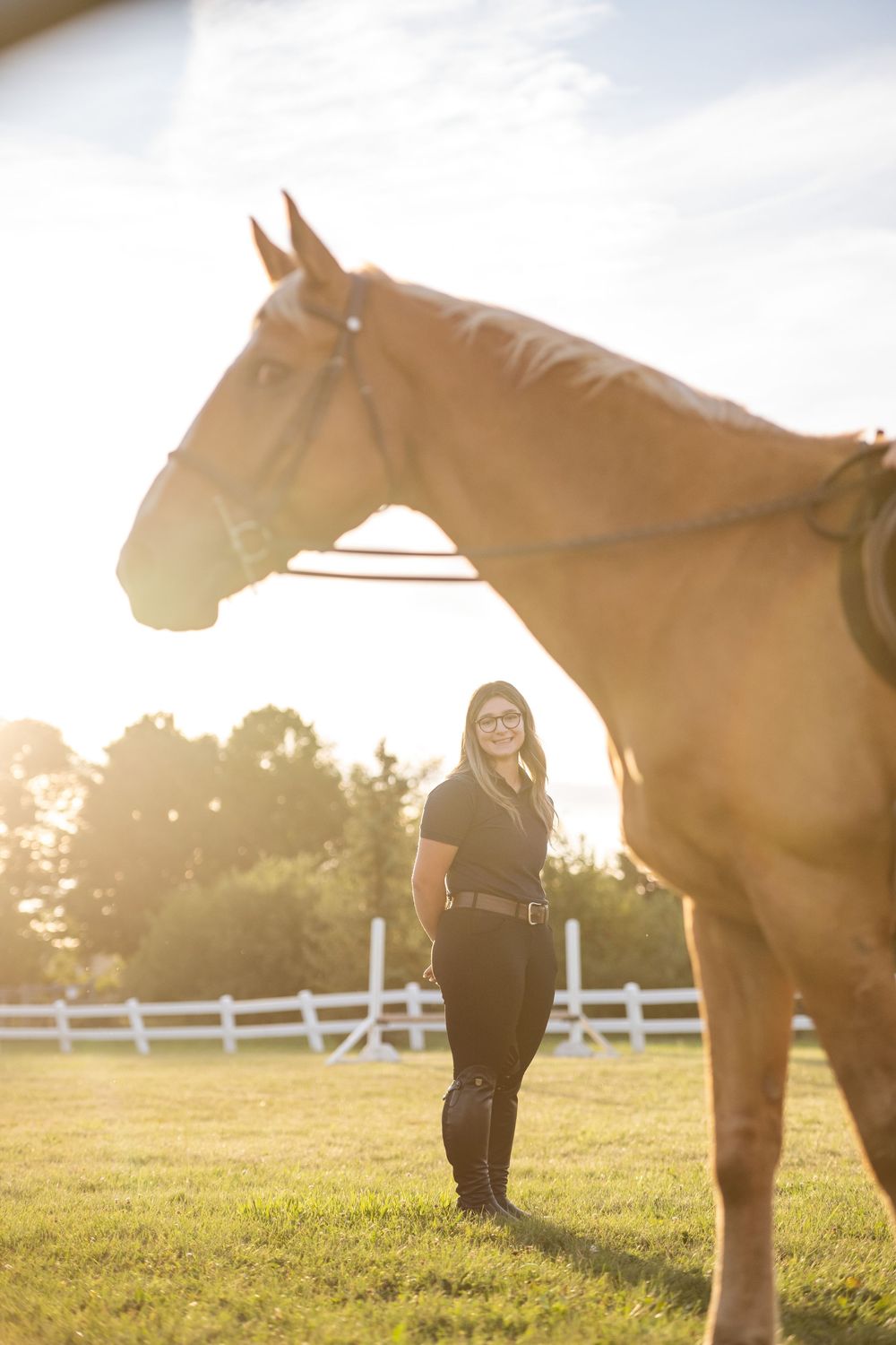 Silhouette of a chestnut horse standing in a sunlit field with white fencing in the background.