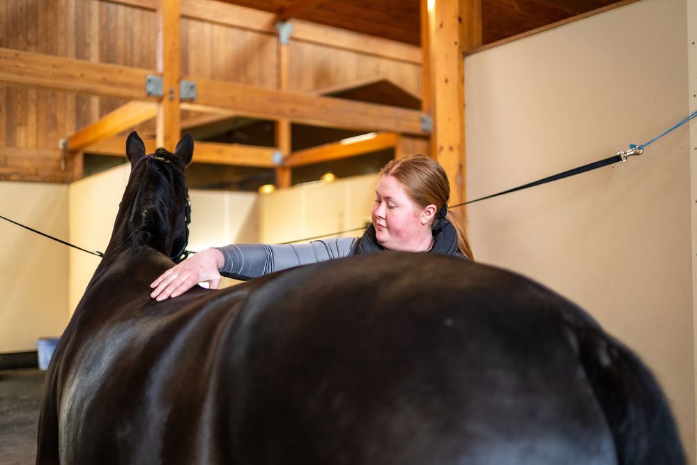 Horse and rider training session in wooden barn with natural lighting.