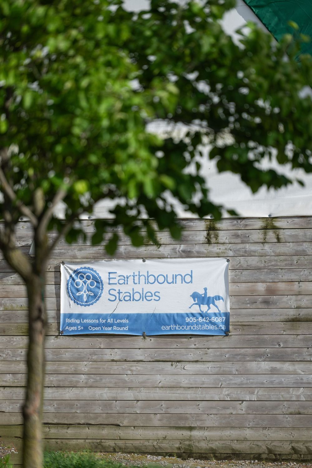 Wooden fence with blue Earthbound Stables signage mounted on weathered boards with green trees in background.