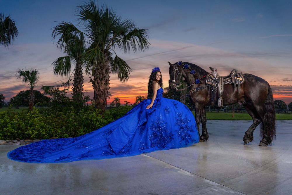 Young woman in a royal blue gown poses with a dark brown horse at sunset with palm trees.