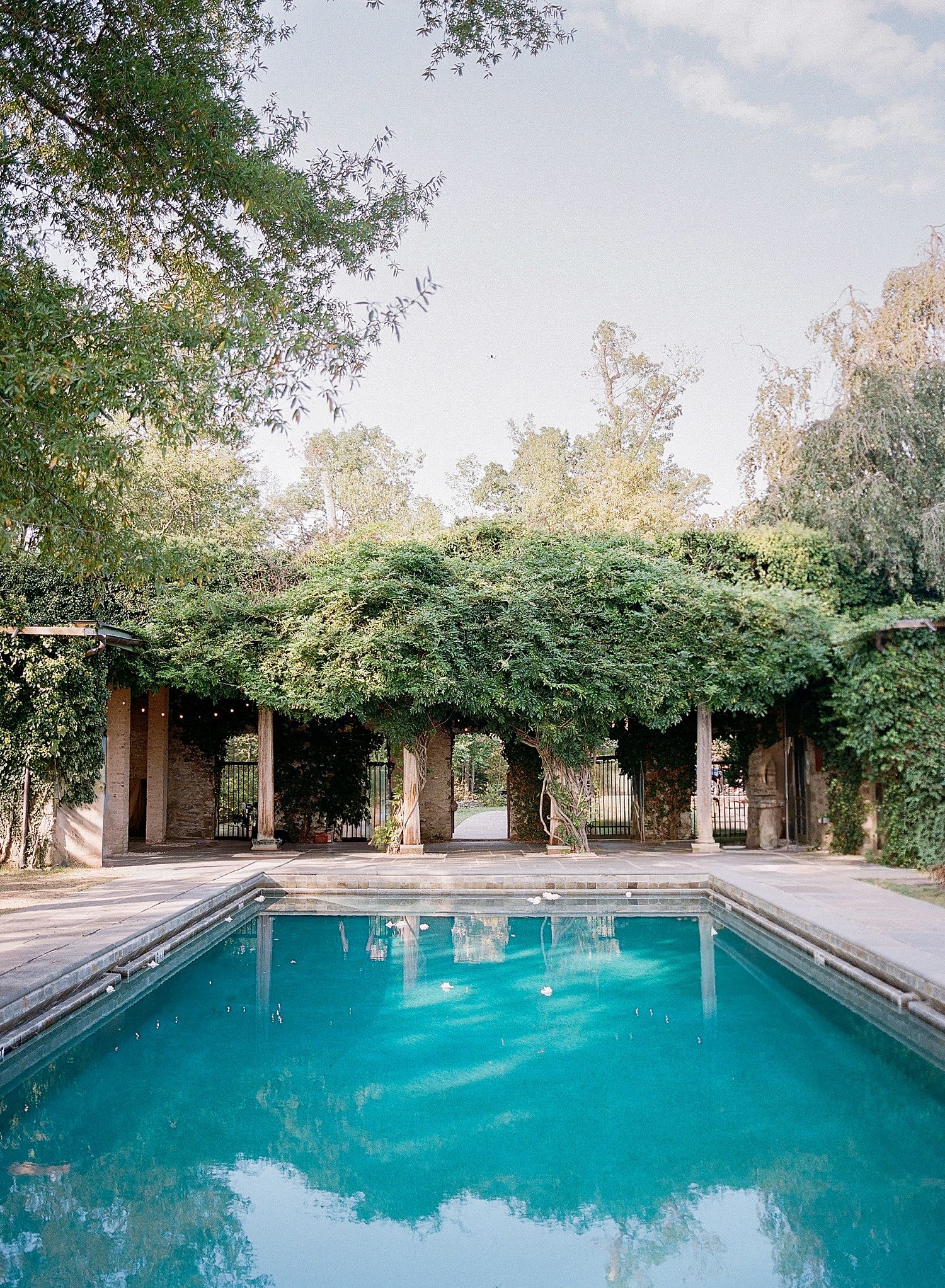 A rectangular swimming pool surrounded by lush greenery and trees in a tranquil backyard setting.