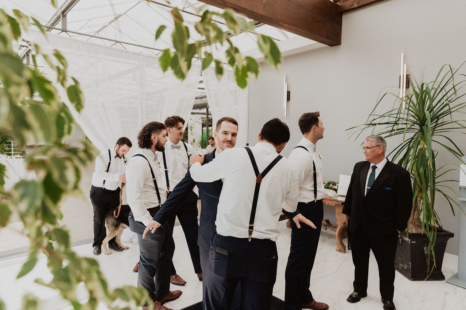 Groomsmen in white shirts and navy suspenders chatting together in a bright greenhouse venue.