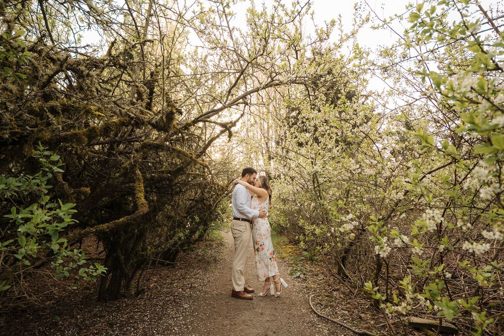 A path winds through a scenic garden with flowering trees and natural foliage.