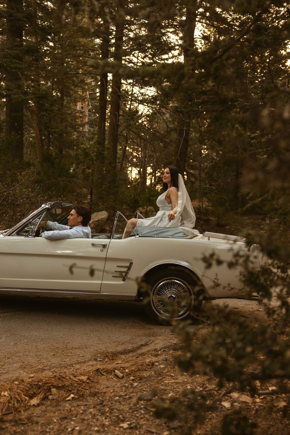 A vintage white convertible car parked in a wooded forest setting during golden hour.