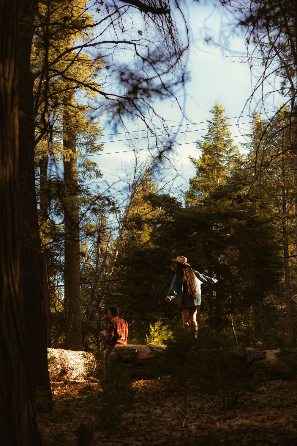 A sequence of silhouettes walking along a forested ridge at sunset with evergreen trees in the background.