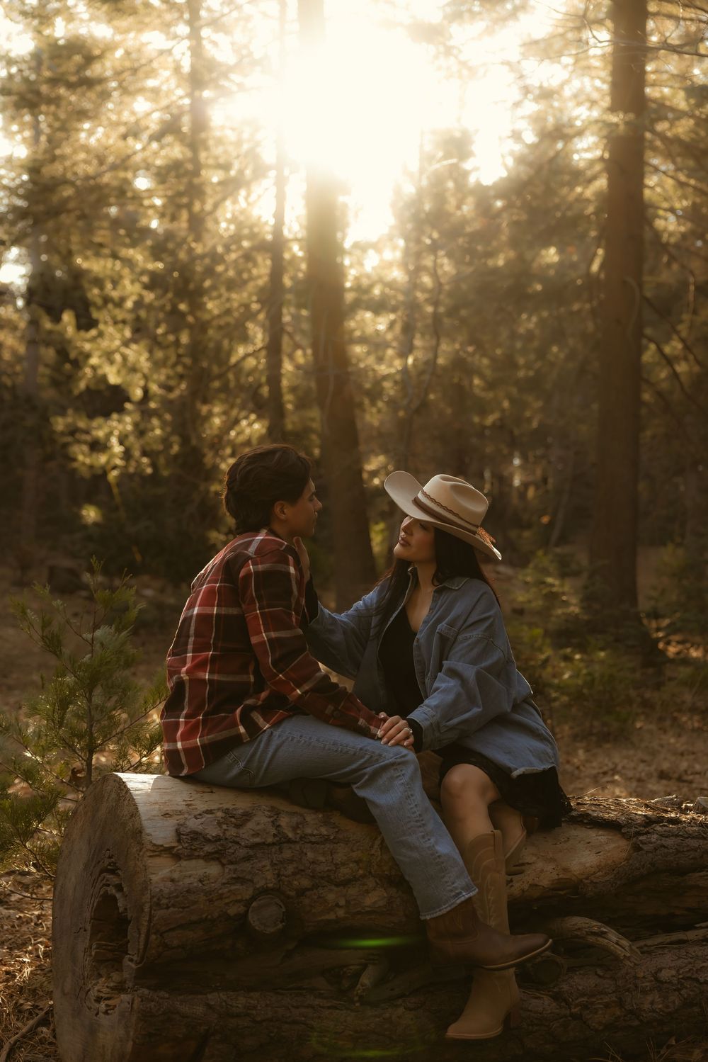 A couple in plaid and denim sits together on a fallen log in a sunlit forest during golden hour.