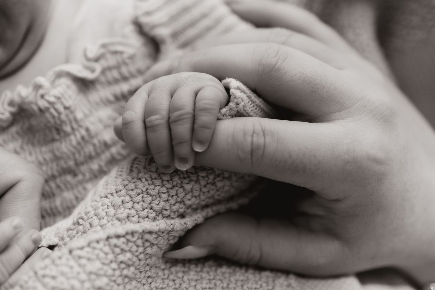 newborn photographer Gold Coast