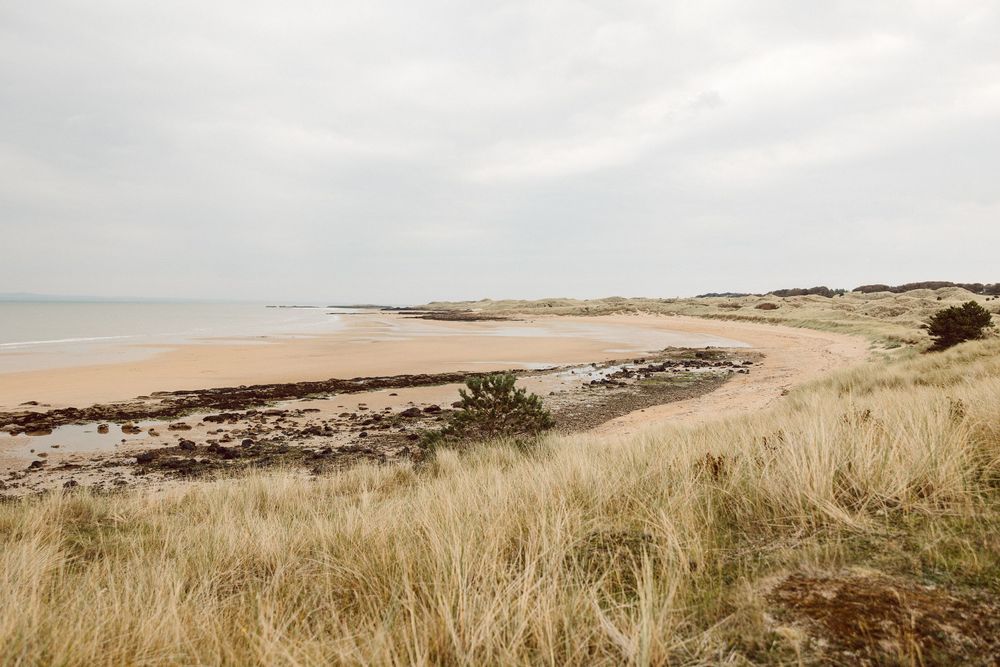 Panoramic coastal landscape with rolling sand dunes covered in tall beach grass overlooking the ocean shoreline.