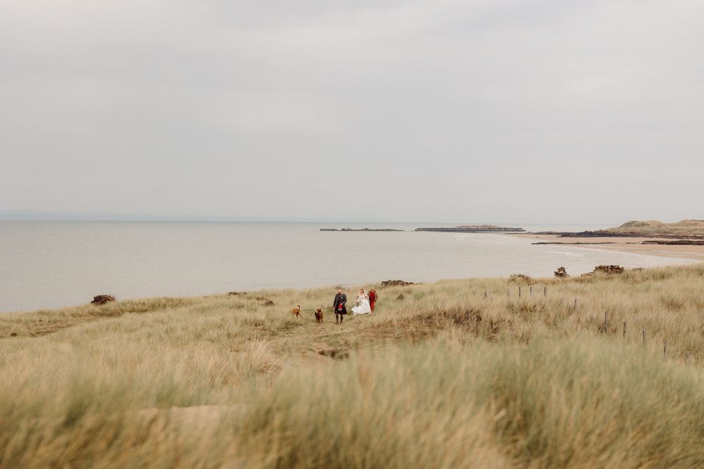 A series of panoramic views showing grassy coastal dunes and sandy beaches along a remote shoreline.