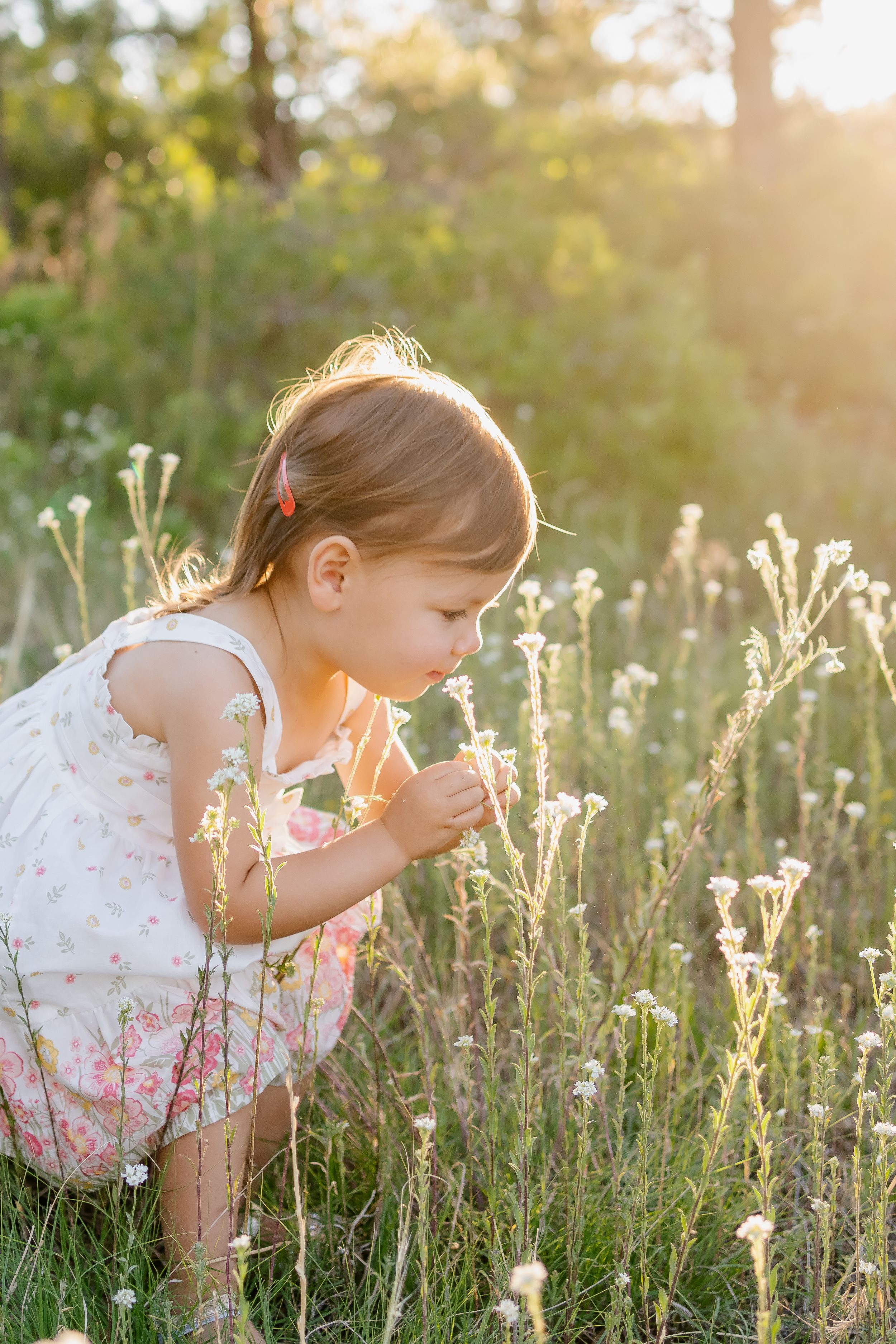 Young child bending down to examine wildflowers in sunlit meadow.