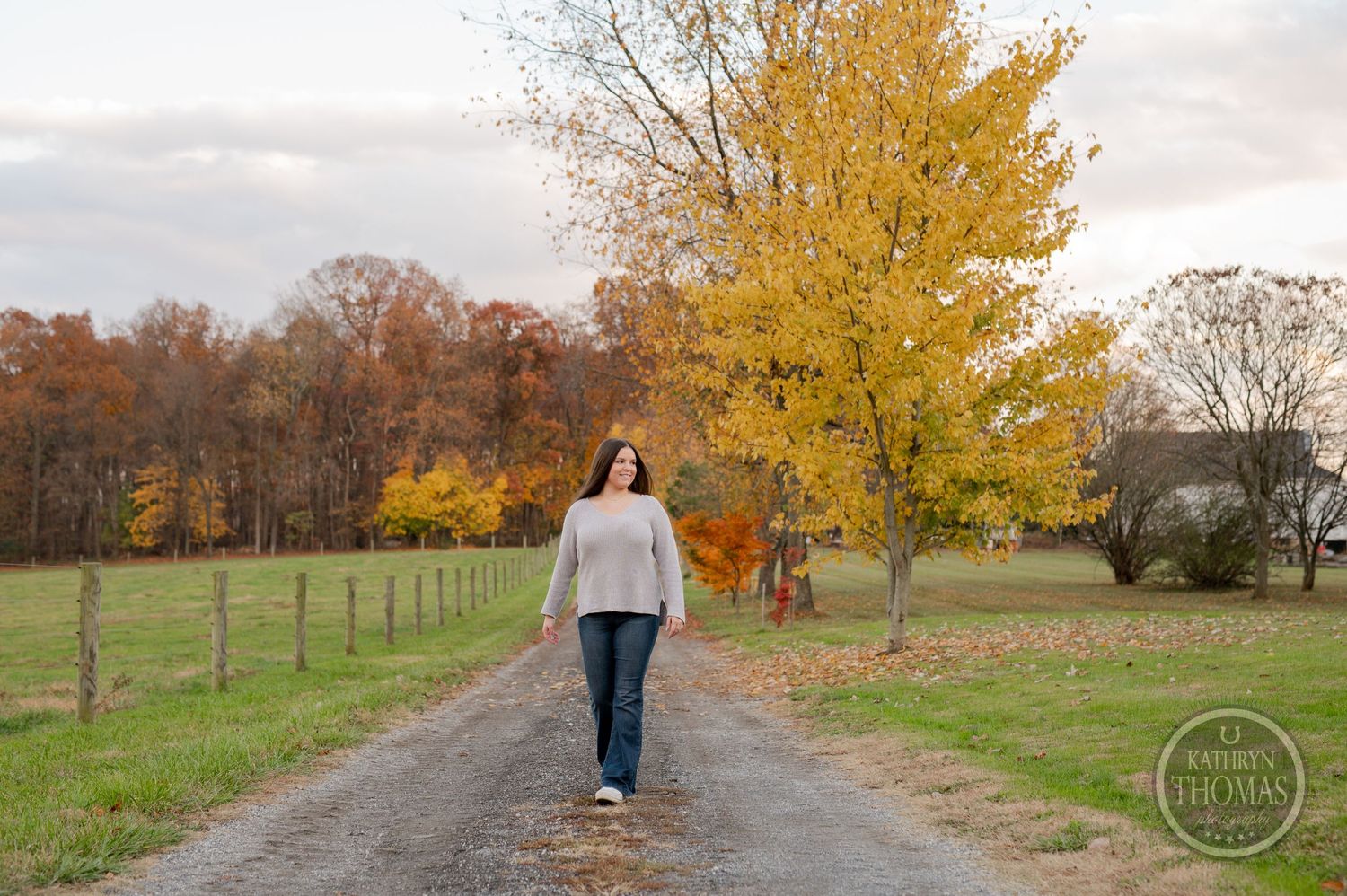 A figure walks down a rural path with bright yellow autumn trees and pasture fencing.
