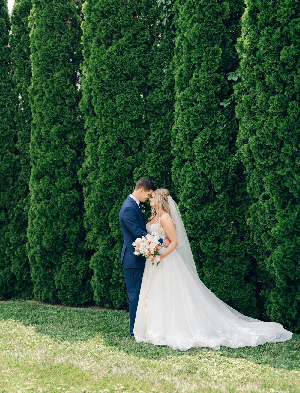 Wedding couple poses against tall emerald cypress trees on manicured lawn.