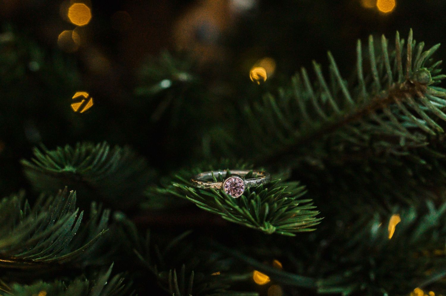 A sparkly engagement ring nestles on green pine branches with soft glowing lights in the background.