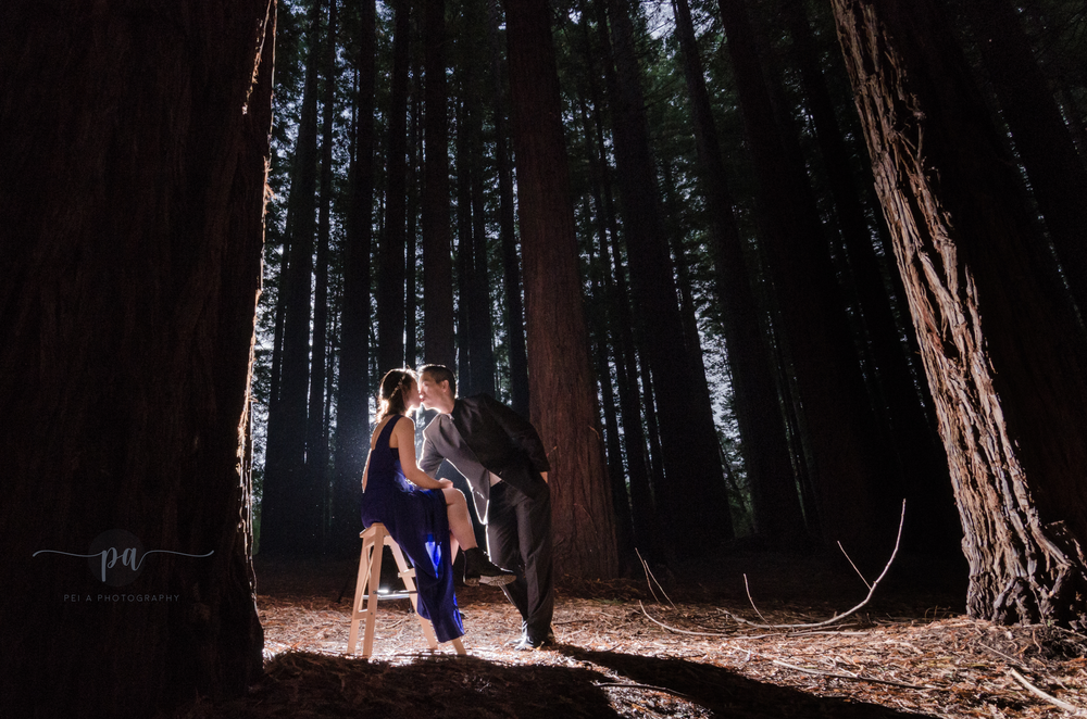 melbourne photographer, melbourne engagement photographer, melbourne, pei a photography, couples, couple photography, melbourne couple photo