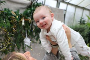 Playful holiday photoshoot scene with Christmas decorations and greenery.
