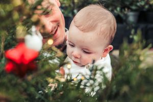 Baby exploring greenery and red flowers in winter garden scene.