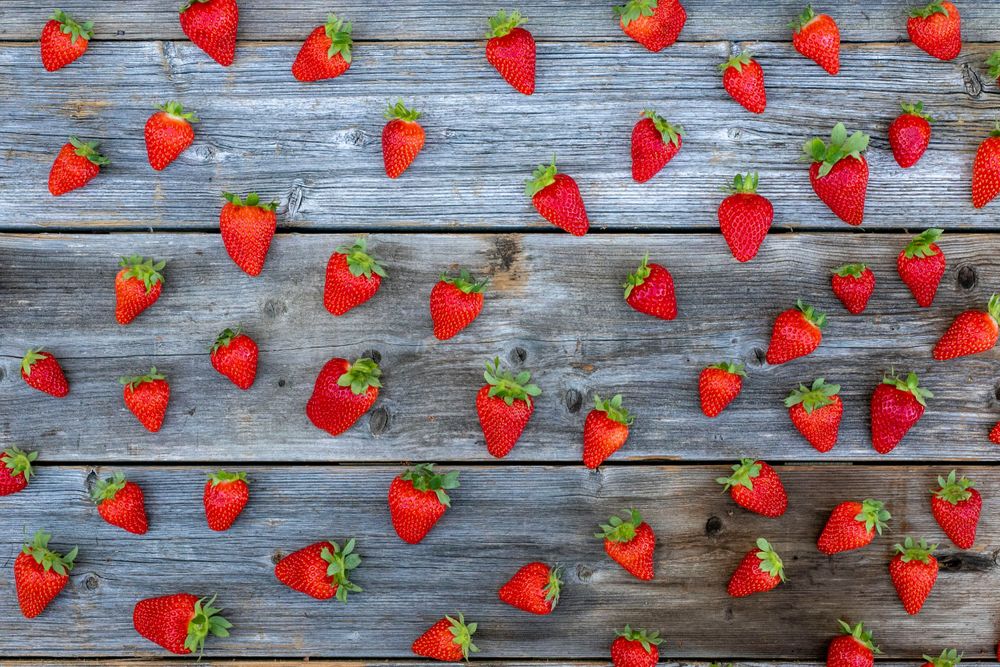 Fresh red strawberries arranged on weathered wooden planks background in Alanteen Tila farm