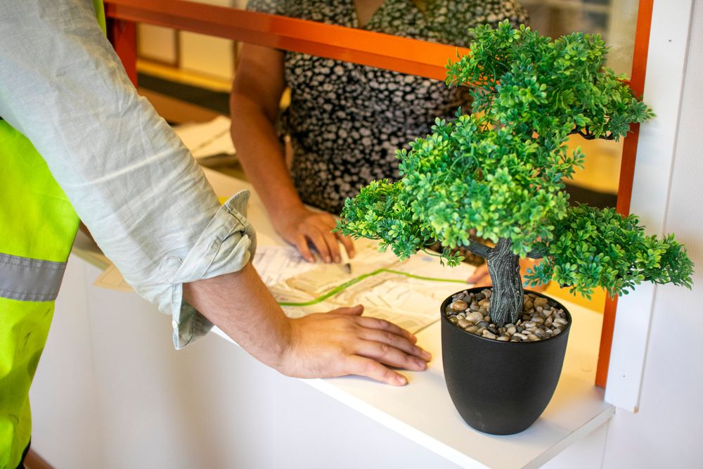 Someone cleaning a wooden surface next to a small potted plant on a white shelf.
