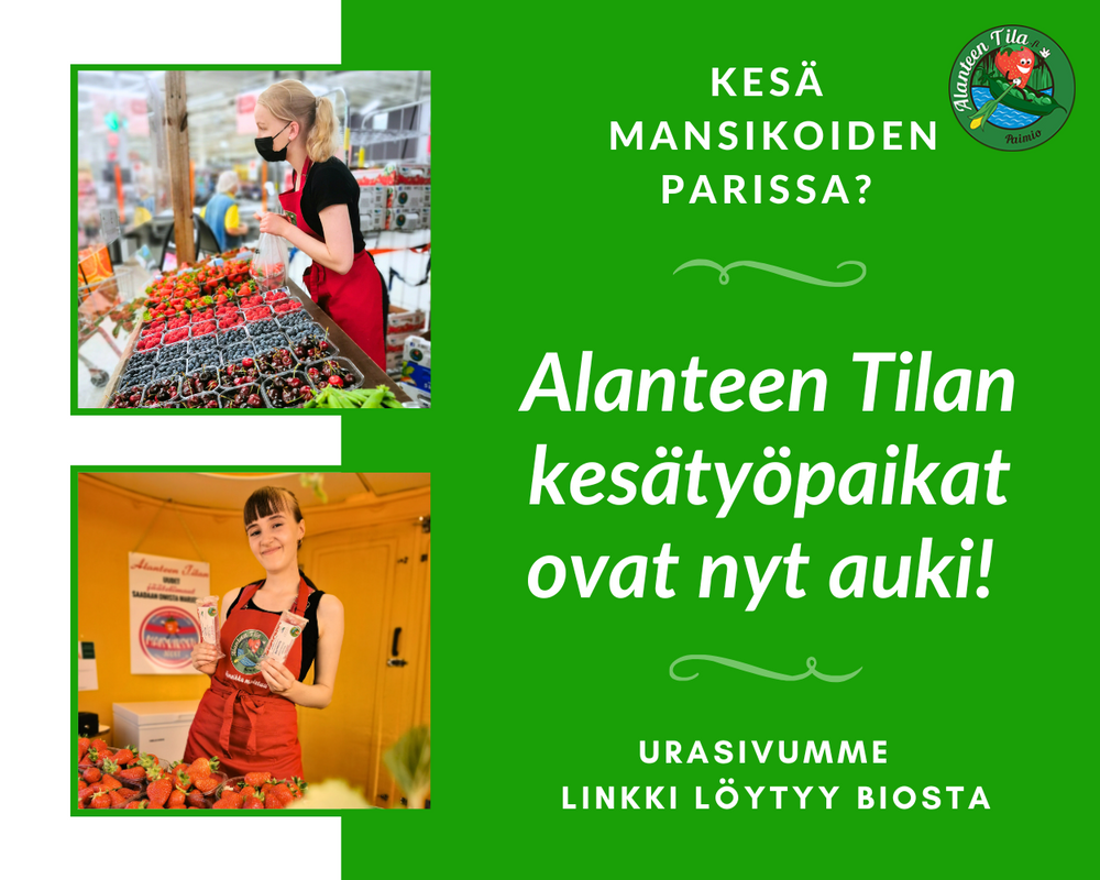 Two photos showing seasonal workers in red aprons picking strawberries and working at a produce stand in Finland.