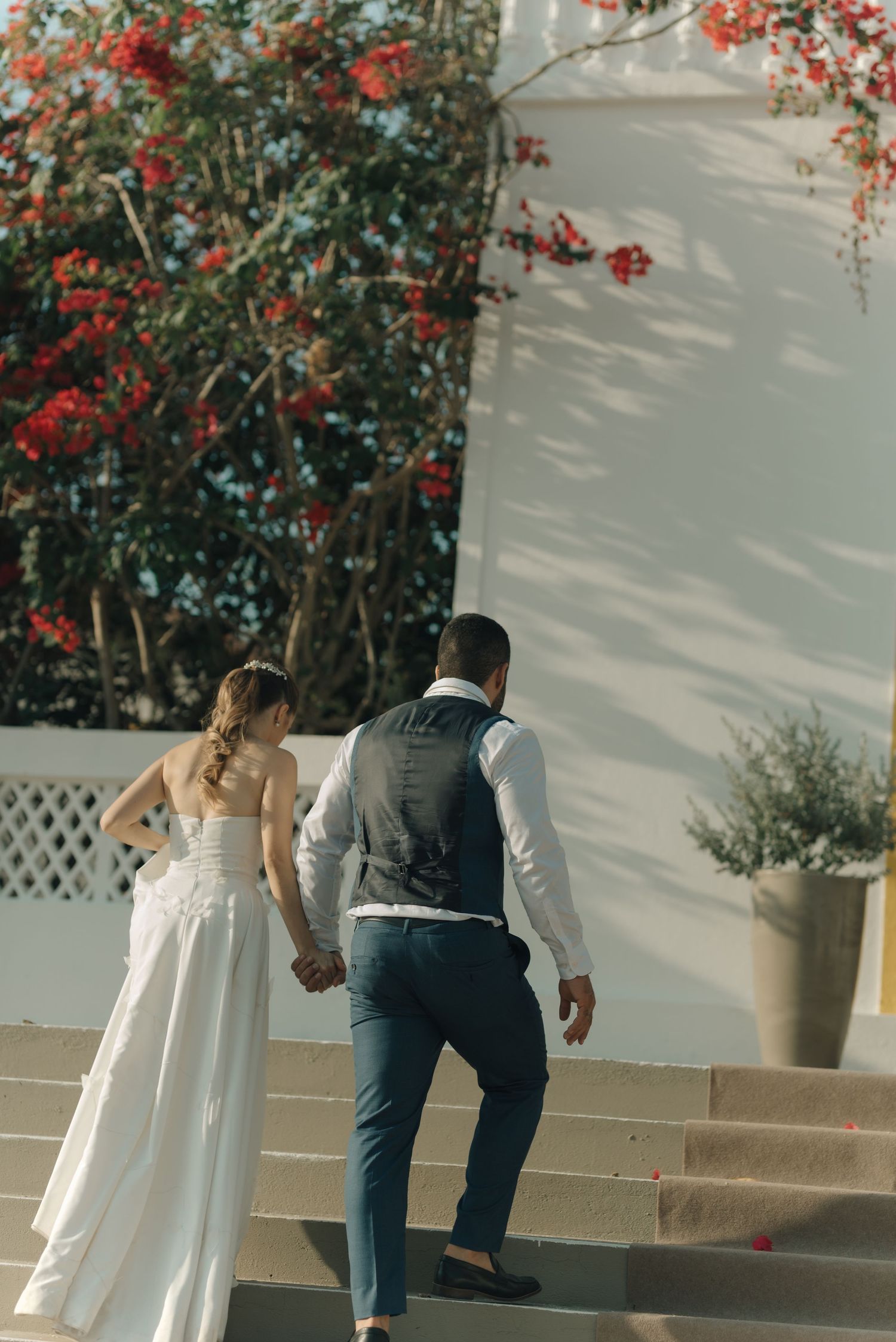 Bride and groom walking up steps with flowering bush in background.