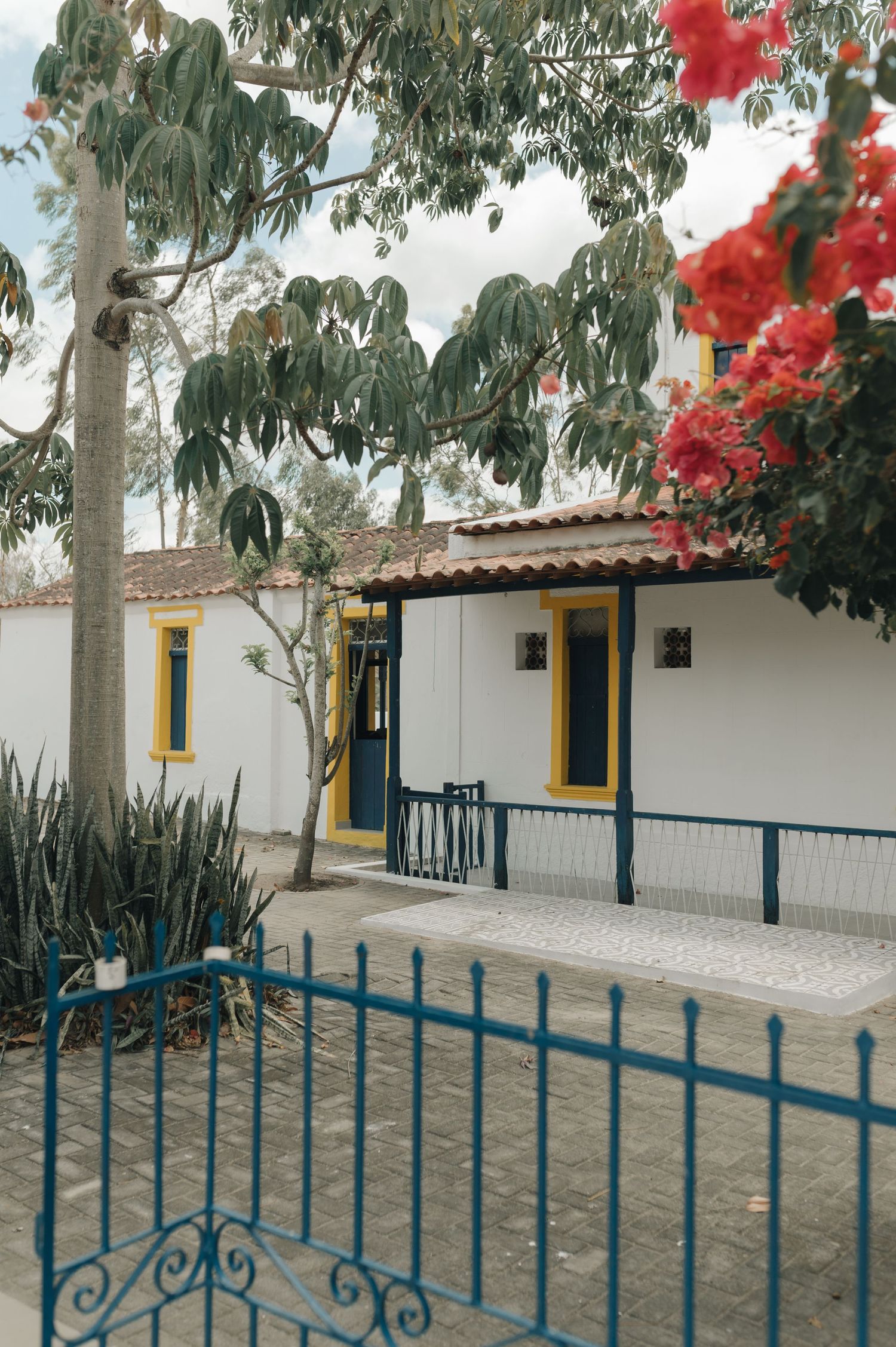A charming white colonial style house with blue trim and vibrant red bougainvillea flowers.