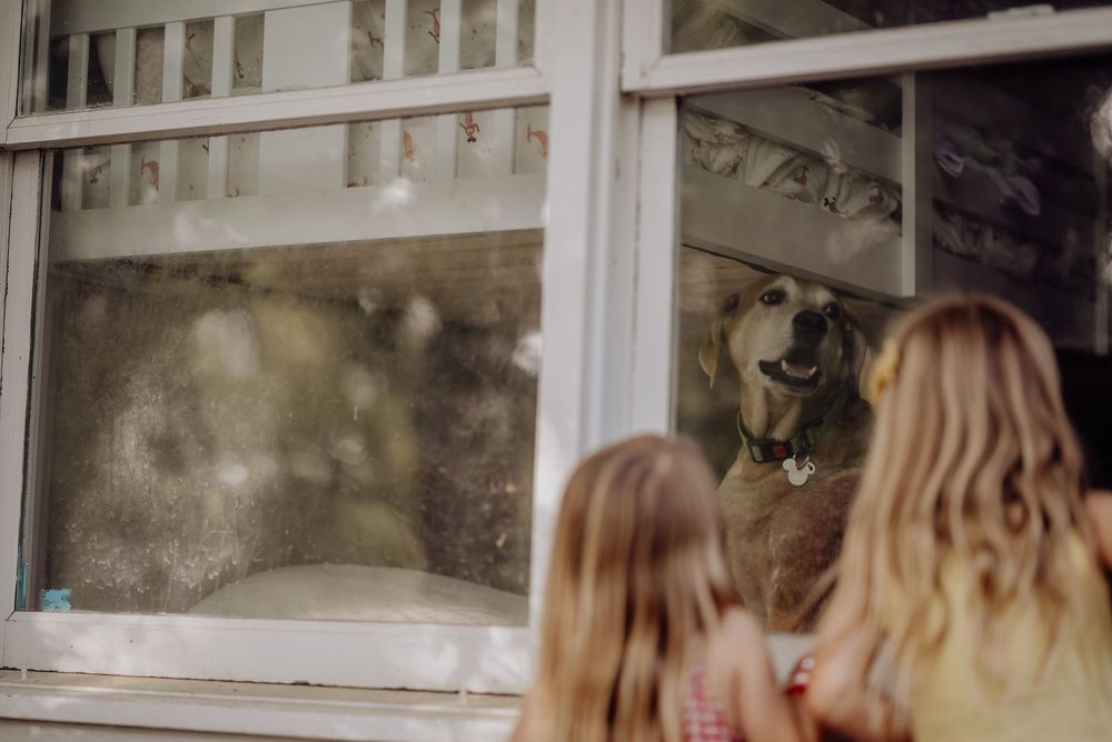 Two children look through a window at a happy dog waiting inside a house.
