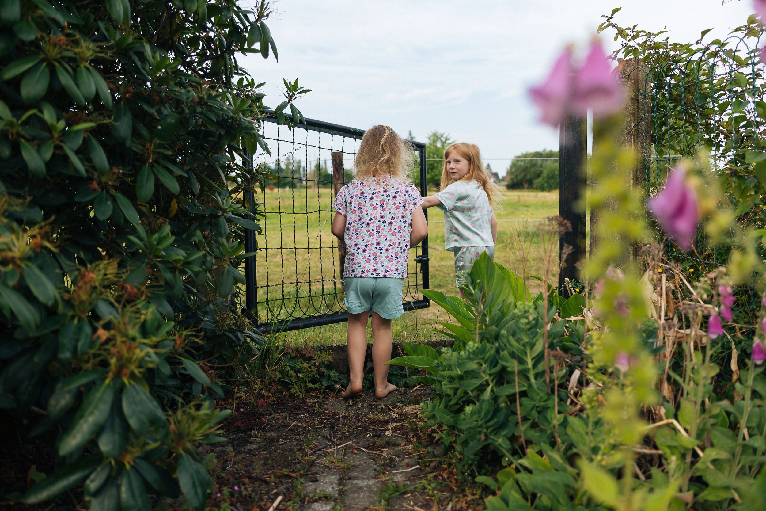 Children exploring garden gate surrounded by blooming summer flowers.