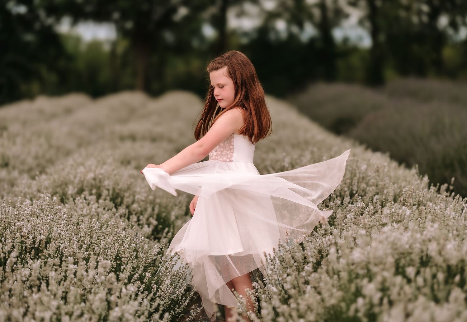 A figure in a blush pink dress dances gracefully through a blooming lavender field on a sunny afternoon.