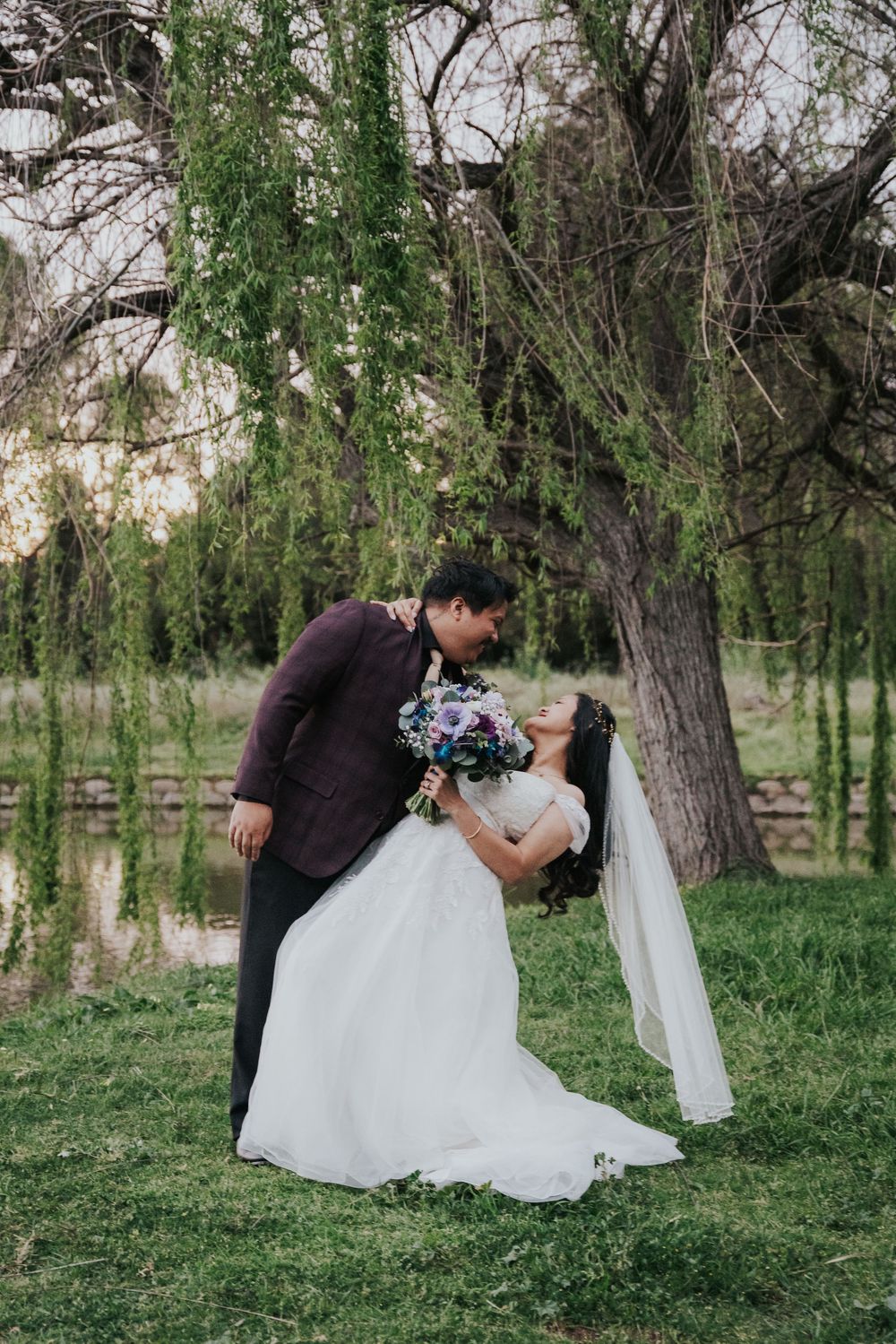 A romantic wedding couple shares a dip pose under a weeping willow tree near a pond.