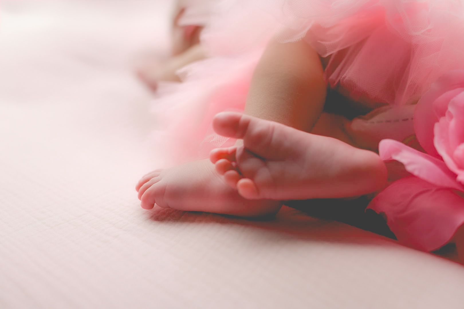 Newborn session