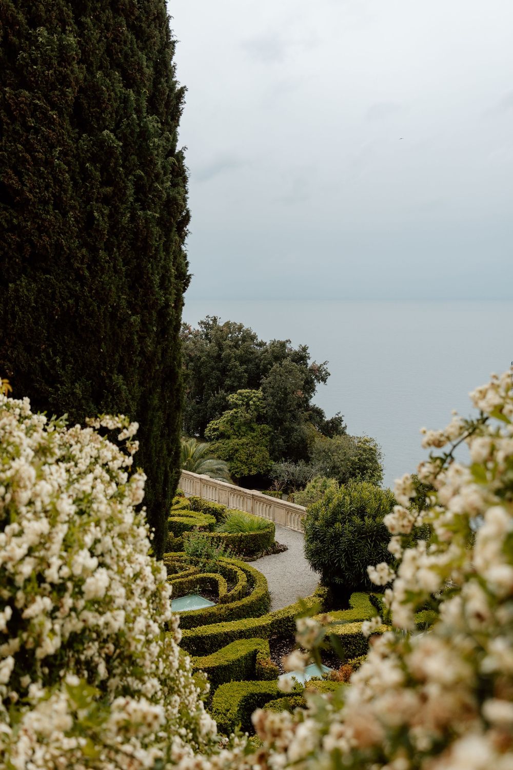 A winding garden path surrounded by neatly trimmed hedges, cypress trees, and blooming white flowers under an overcast sky.