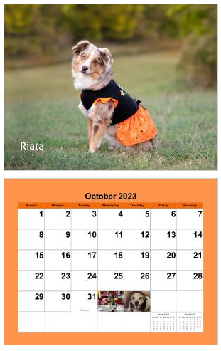 Calendar page for October 2023 with cute Australian Shepherd dog wearing orange pumpkin-themed bandana in photos.