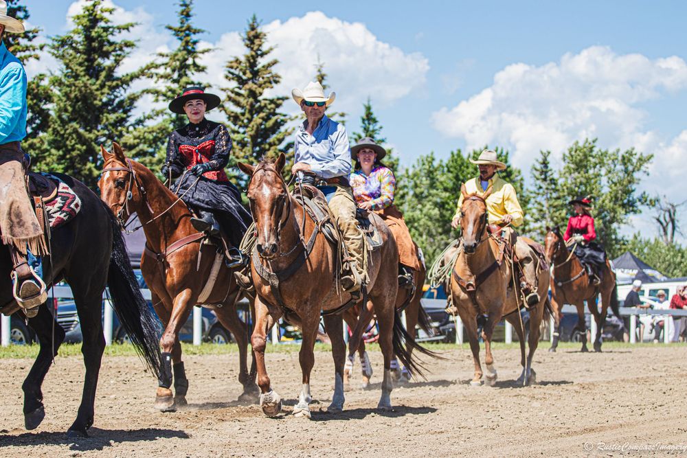 Group of side saddle riders on horseback gathered at an outdoor equestrian event on a bright sunny day with evergreen trees.