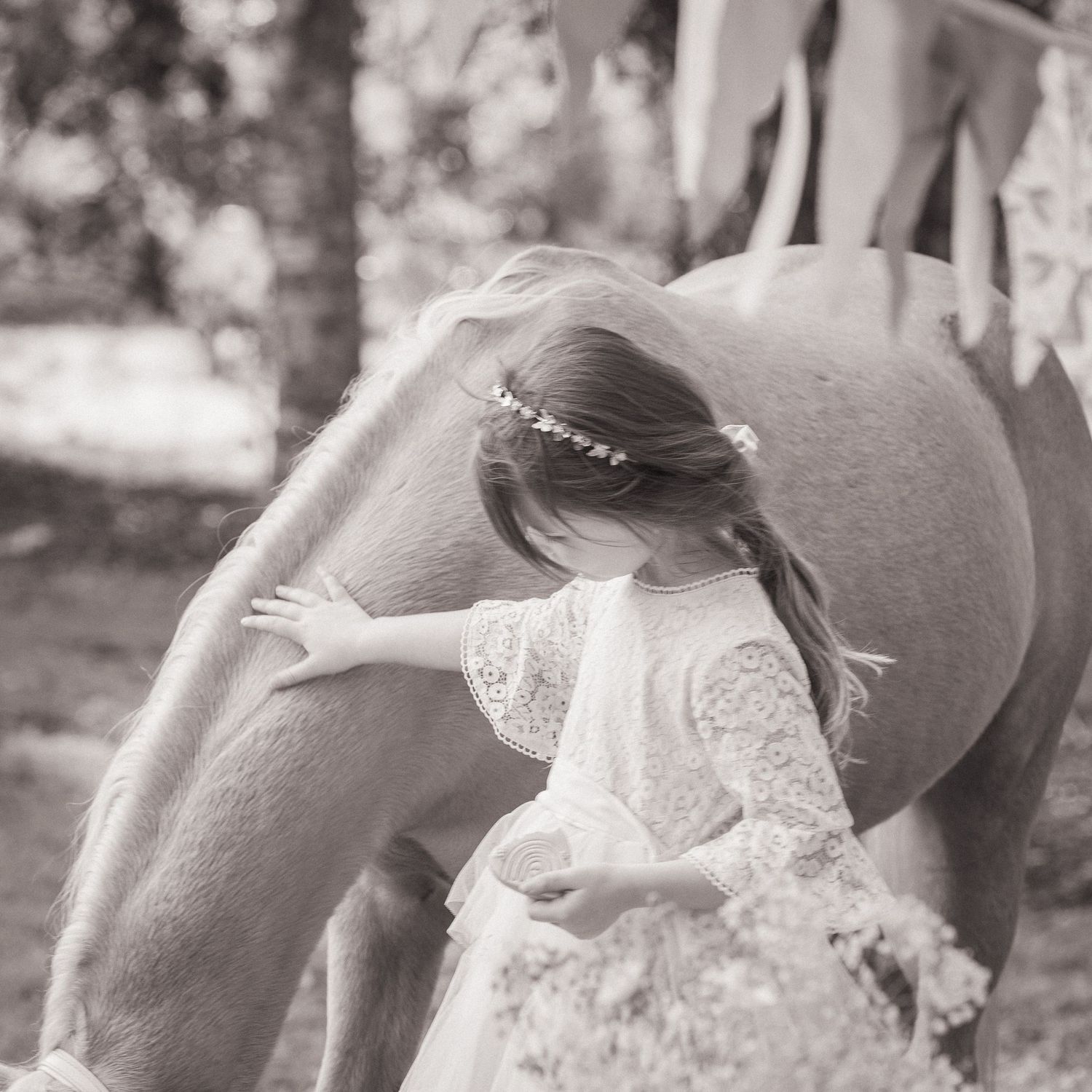 Black and white images capturing tender moments between a horse and someone in lace.