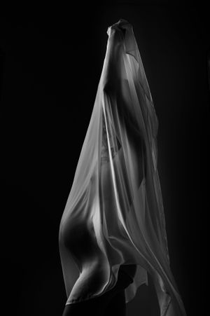 Artistic nude silhouette photograph with flowing fabric against dark background.