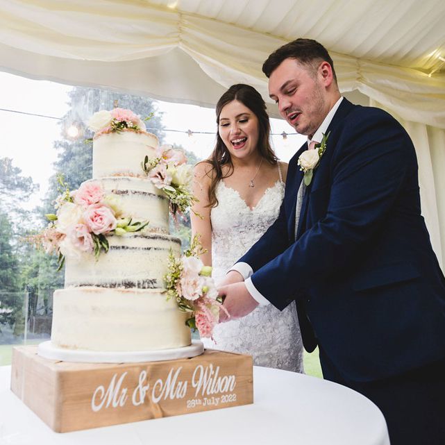 Wedding cake cutting