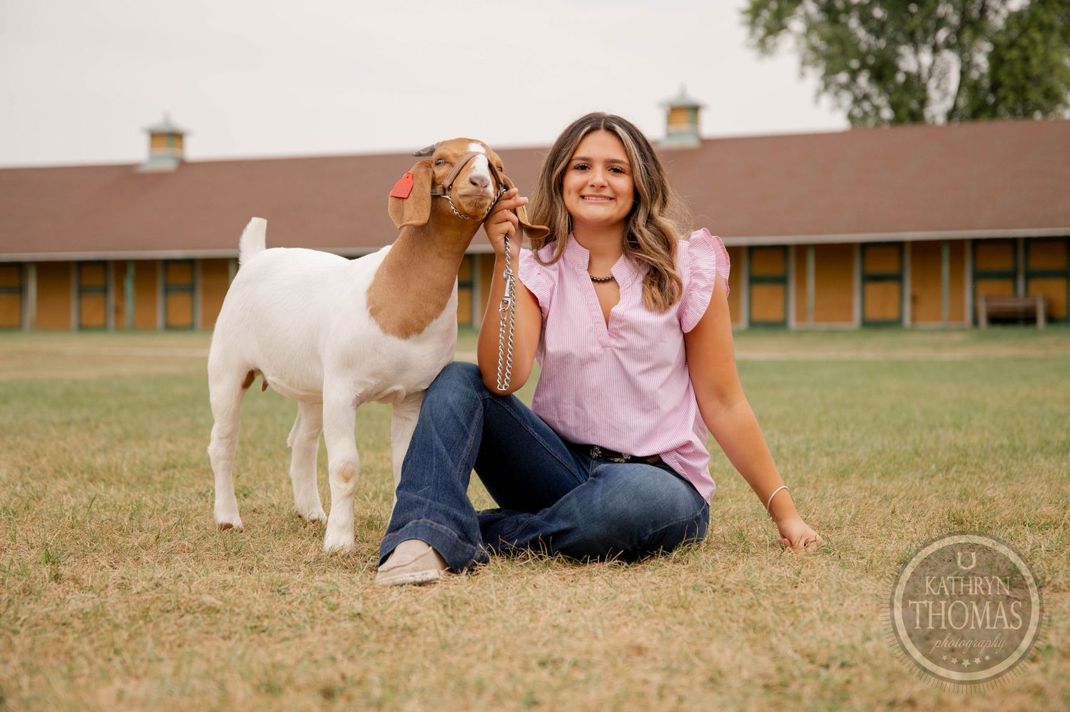 A white and brown goat stands in a grassy field with buildings visible in the background.