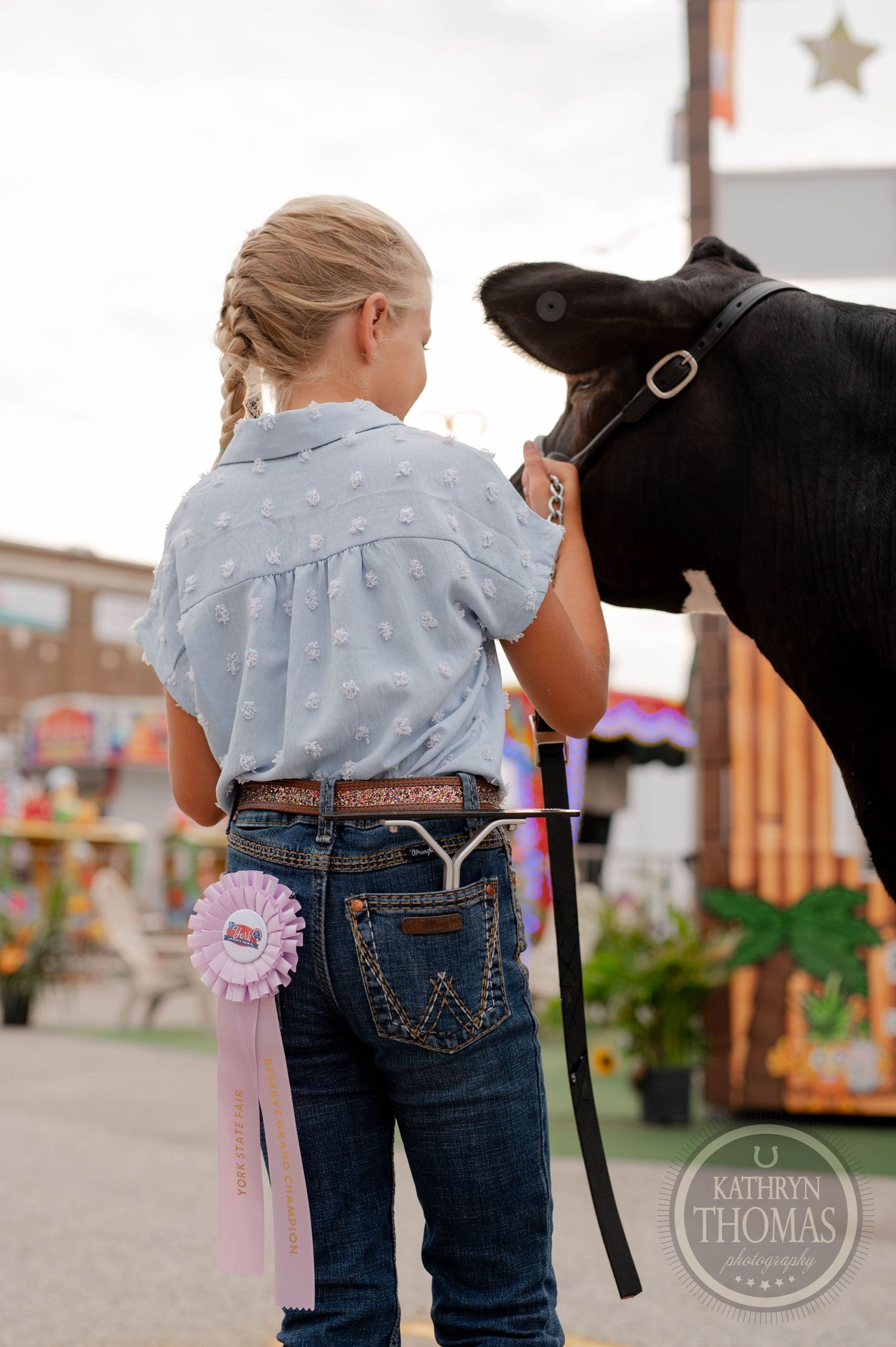 Young person in braids and jeans with prize ribbon tending to black dairy cow at fair.