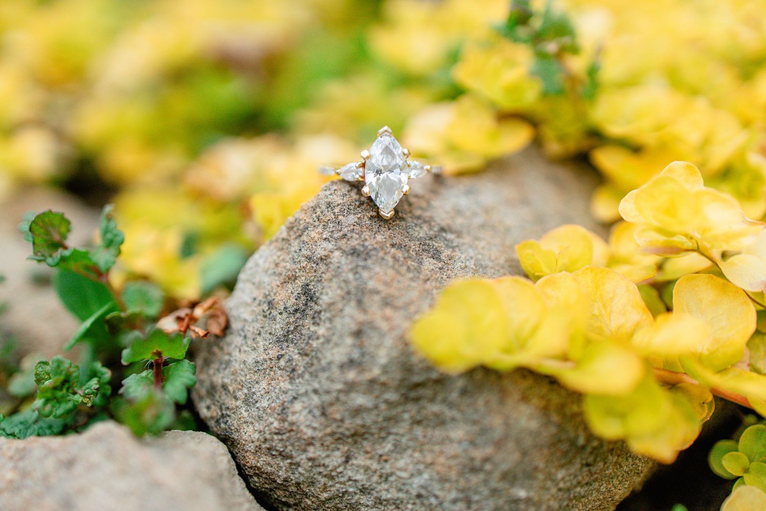 Marquise diamond engagement ring displayed on a gray rock surrounded by vibrant yellow foliage.