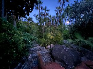 Lush tropical garden at dusk with tall palm trees, dense green foliage, and rocky stone steps under a twilight blue sky.