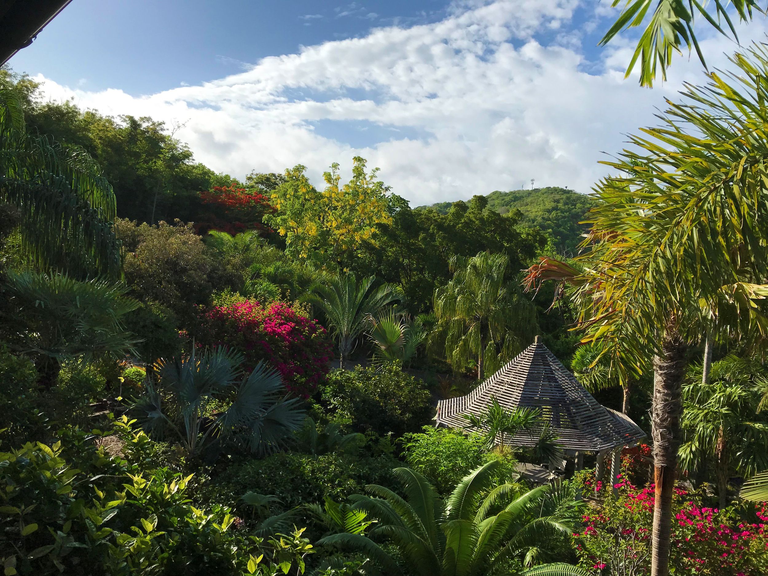 Lush tropical garden with palm trees, colorful flowers, and a thatched hut nestled among vibrant greenery under a blue sky.