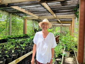 Smiling man in white shirt and straw hat standing in a lush greenhouse filled with potted tropical plants.
