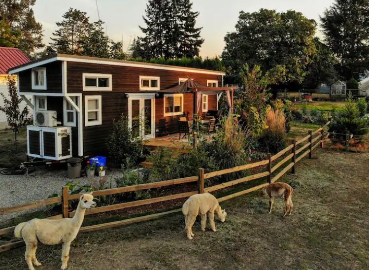 Tiny Alpaca airbnb in Sumner Washington