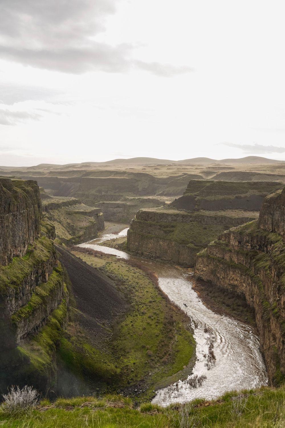 Aerial view of a winding river cutting through a deep canyon with basalt cliffs and green moss in the Pacific Northwest.