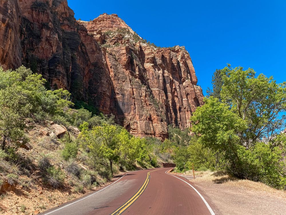 Scenic red rock canyon road in Zion National Park with towering sandstone cliffs and lush green trees under a clear blue sky.