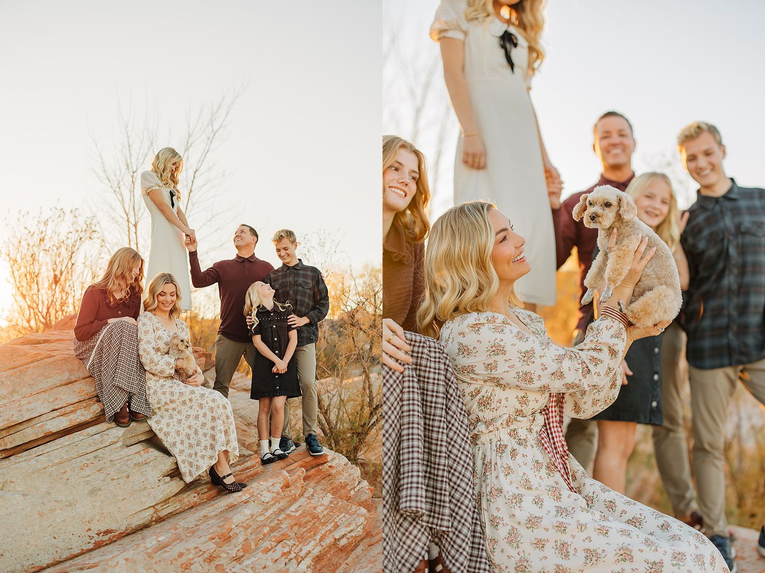 Golden hour family portrait session outdoors with group of adults and children posing together on rustic wooden surface.