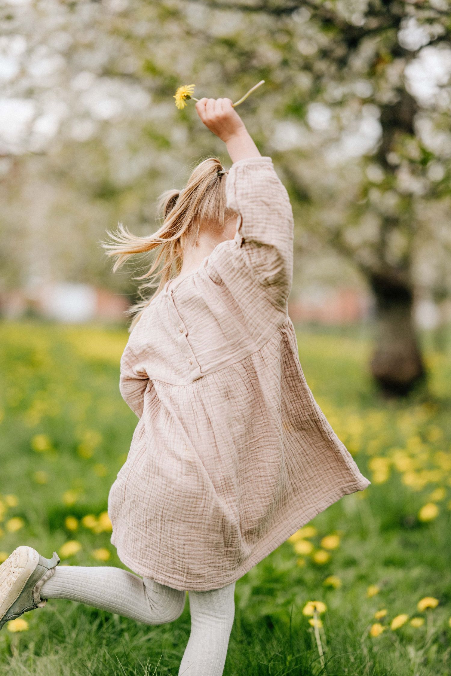 Ein Mädchen hüpft glücklich durch den blühenden Kirschblütenhof und hält Löwenzahn über den Kopf beim Familienfotoshooting mit Julia Aßmann.